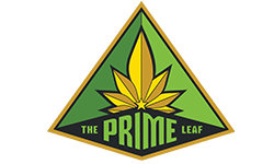 Green and yellow Prime Leaf Logo